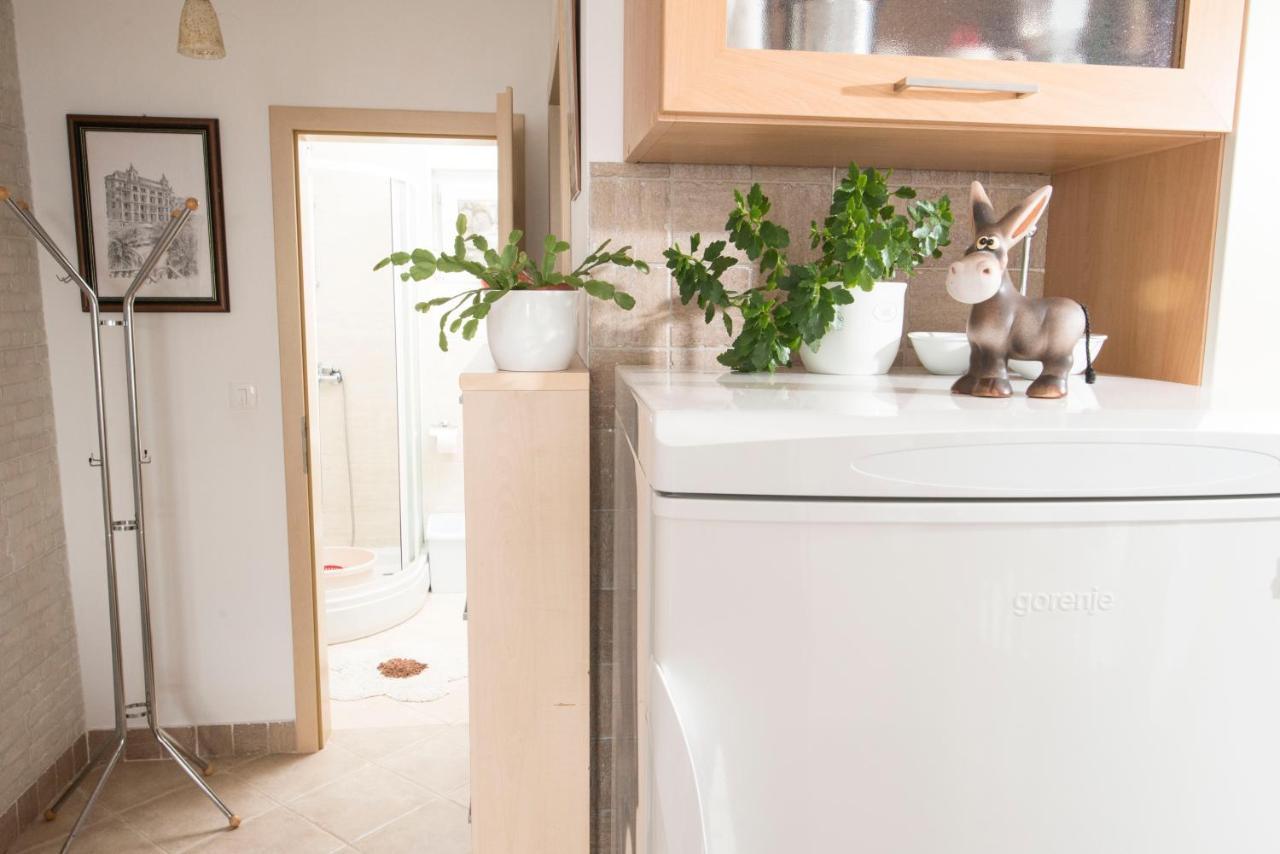 Apartment Alba ميدفيجا المظهر الخارجي الصورة