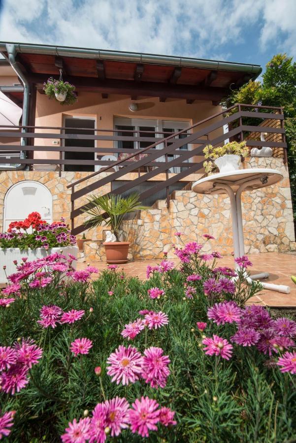 Apartment Alba ميدفيجا المظهر الخارجي الصورة